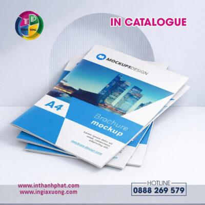 Catalogue vuông
